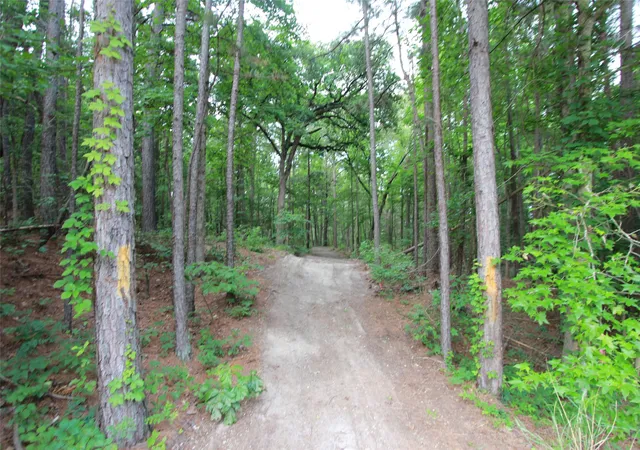 Photo 3 of Land for sale at Tract 531 Hwy 31, Tyler, TX 75705 | MLS# 21276955 | Listing updated on 2026-10-02