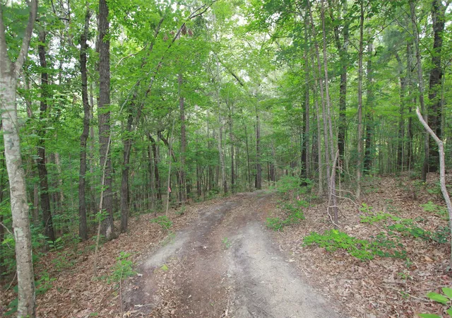 Photo 4 of Land for sale at Tract 531 Hwy 31, Tyler, TX 75705 | MLS# 21276955 | Listing updated on 2026-10-02
