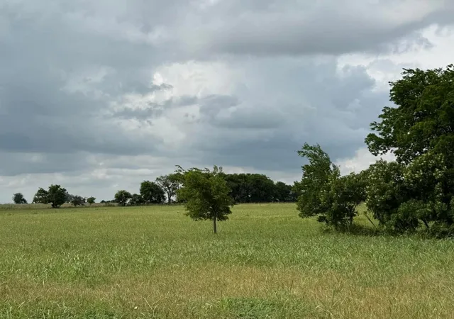 Land for sale at 1162 County Road 134, Burlington, TX 76519 | MLS# 21281775