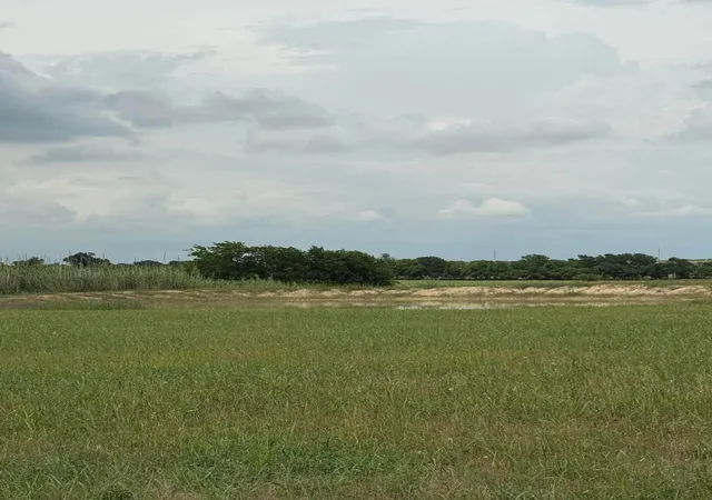 Photo 3 of Land for sale at 1162 County Road 134, Burlington, TX 76519 | MLS# 21281775 | Listing updated on 2026-07-23