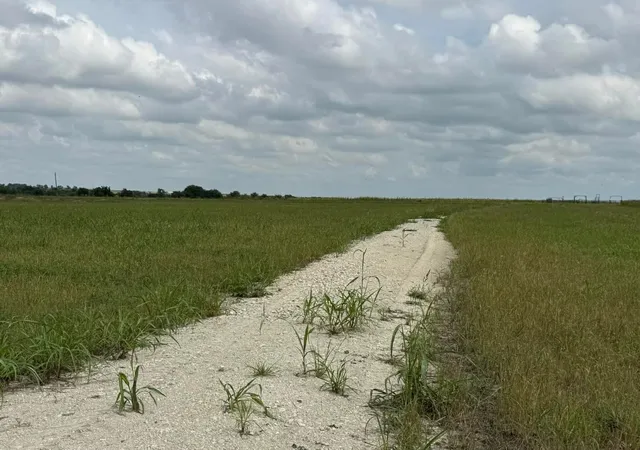Photo 3 of Land for sale at 1162 County Road 134, Burlington, TX 76519 | MLS# 21281775 | Listing updated on 2026-07-23