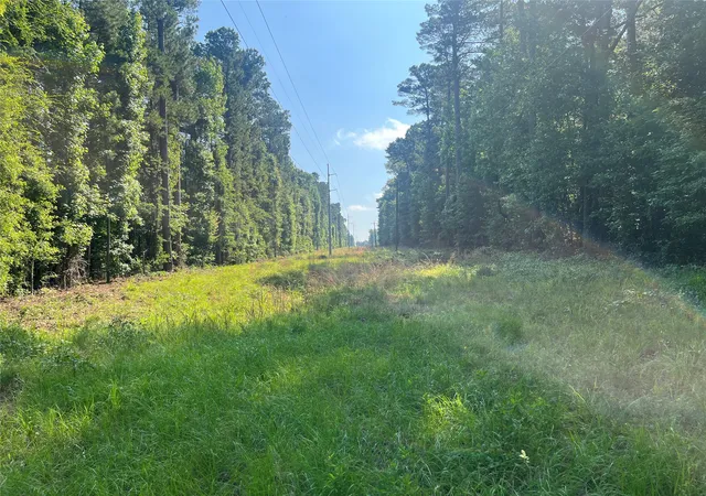 Homes for sale in Troup, TX | Tbd Hwy 135, Troup, TX 75789 | MLS# 21282889