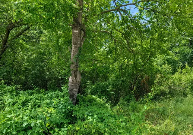 Photo 3 of Land for sale at 00 Nw 10Th St, Mineral Wells, TX 76067 | MLS# 21282452 | Listing updated on 2026-07-10