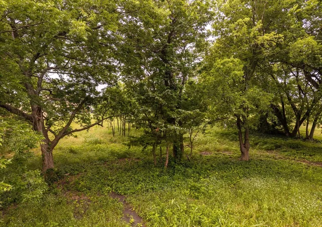 Photo 2 of Land for sale at Tbd County Road 1119, Greenville, TX 75401 | MLS# 21282895 | Listing updated on 2026-10-07