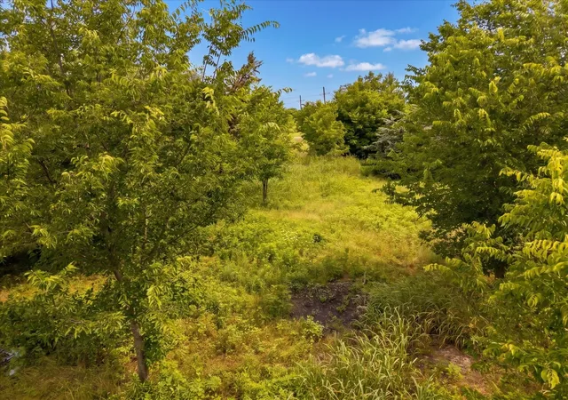 Photo 3 of Land for sale at Tbd County Road 1119, Greenville, TX 75401 | MLS# 21282895 | Listing updated on 2026-10-07
