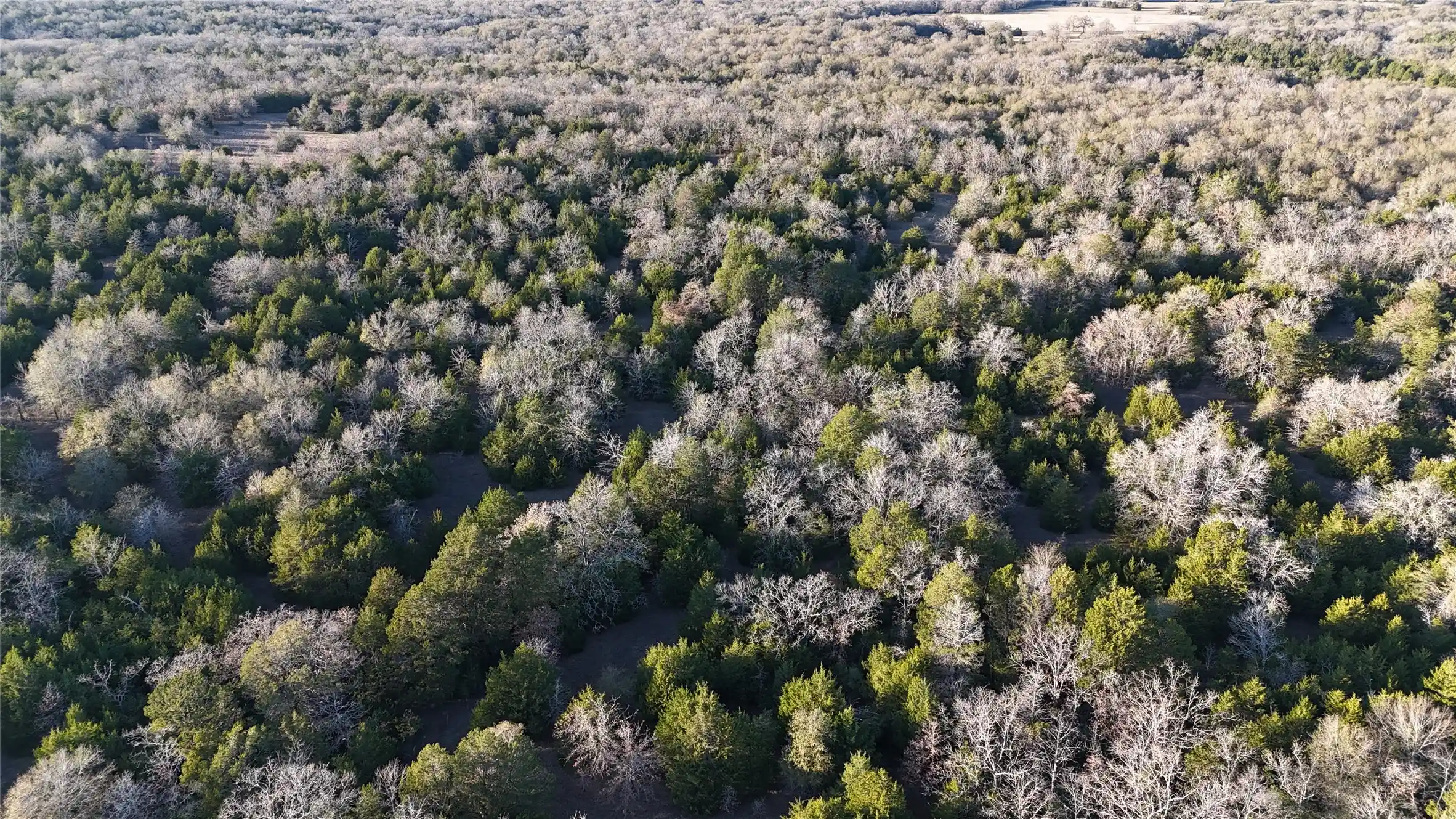 Photo 1 of Land for sale at Tbd County Road 442, Mexia, TX 76667 | MLS# 21283454 | Listing updated on 2026-06-01