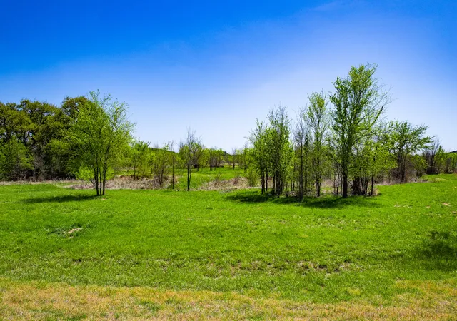 Homes for sale in Possum Kingdom Lake, TX | Lot 446 Indigo Bush, Possum Kingdom Lake, TX 76449 | MLS# 21283494