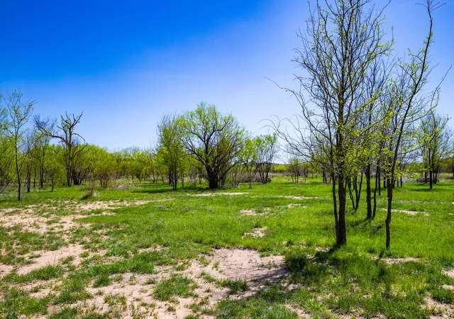 Homes for sale in Possum Kingdom Lake, TX | Lot 446 Indigo Bush, Possum Kingdom Lake, TX 76449 | MLS# 21283494