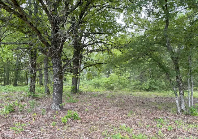 Photo 1 of Land for sale at Lot 25 Rains County Road 2610, Alba, TX 75410 | MLS# 21284082 | Listing updated on 2026-07-27