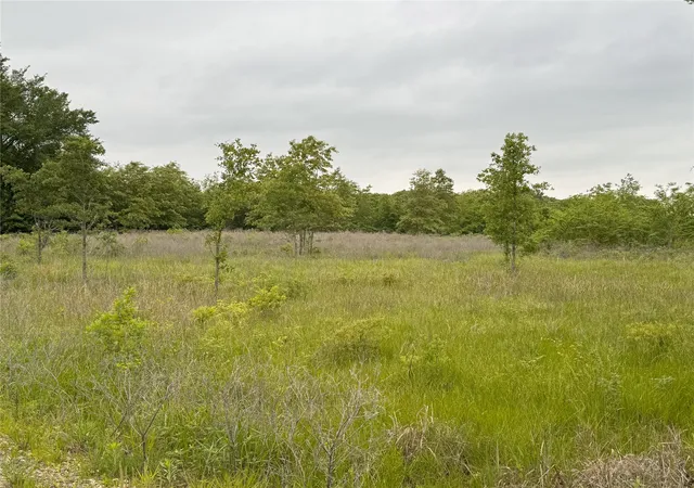 Photo 4 of Land for sale at Lot 25 Rains County Road 2610, Alba, TX 75410 | MLS# 21284082 | Listing updated on 2026-07-27