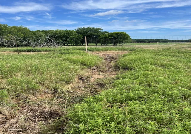 Homes for sale in Jacksboro, TX | 3109 Ac Hoefle Rd, Jacksboro, TX 76458 | MLS# 21275073