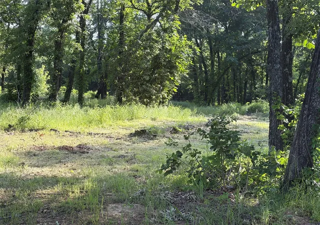 Photo 3 of Land for sale at Tbd Oak Creek Dr, Gordonville, TX 76245 | MLS# 21280799 | Listing updated on 2026-07-12