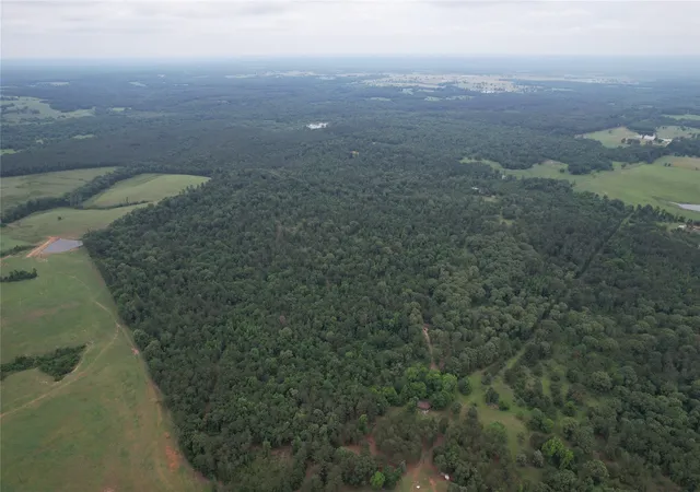 Homes for sale in Laneville, TX | Tbd County Road 461, Laneville, TX 75667 | MLS# 21284962