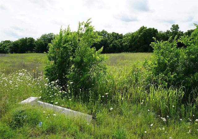 Photo 2 of Land for sale at 10468 State Hwy 50, Ladonia, TX 75449 | MLS# 21285500 | Listing updated on 2026-08-25