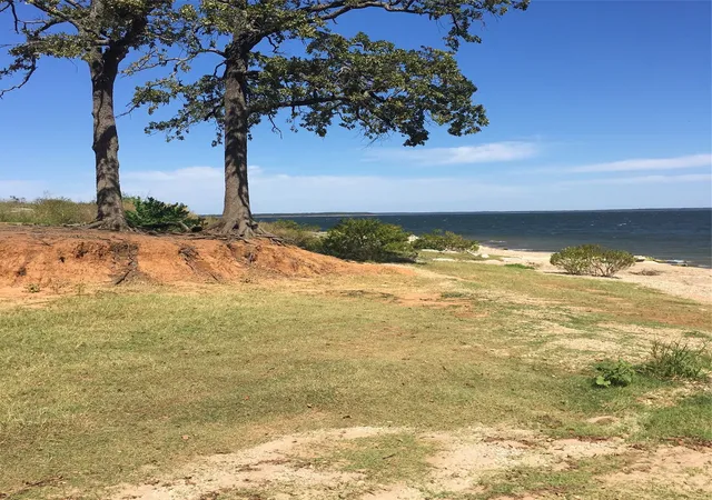 Photo 2 of Land for sale at 00 Daniel Ln, Pottsboro, TX 75076 | MLS# 21264695 | Listing updated on 2026-09-30