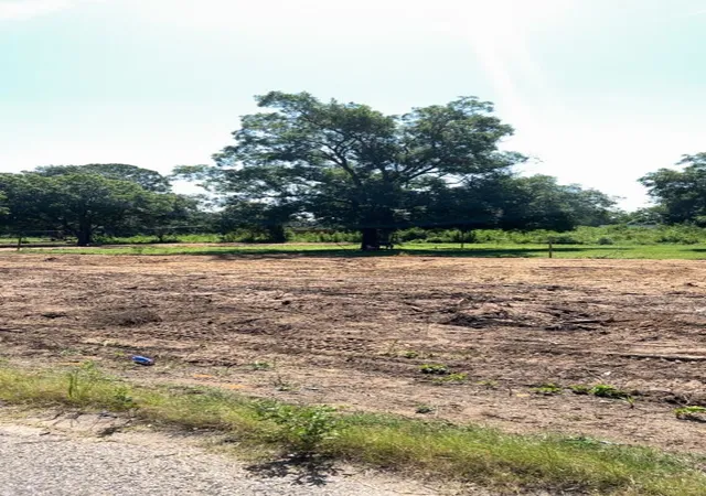 Photo 3 of Land for sale at 9999 Pin Oak Rd, Seagoville, TX 75159 | MLS# 21285987 | Listing updated on 2026-07-22