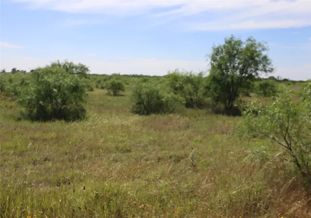 Homes for sale in Rising Star, TX | 807 County Road 215, Rising Star, TX 76471 | MLS# 21286389