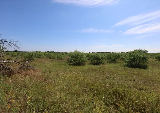 Homes for sale in Rising Star, TX | 807 County Road 215, Rising Star, TX 76471 | MLS# 21286389