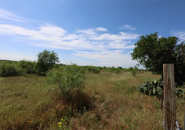 Homes for sale in Rising Star, TX | 807 County Road 215, Rising Star, TX 76471 | MLS# 21286389