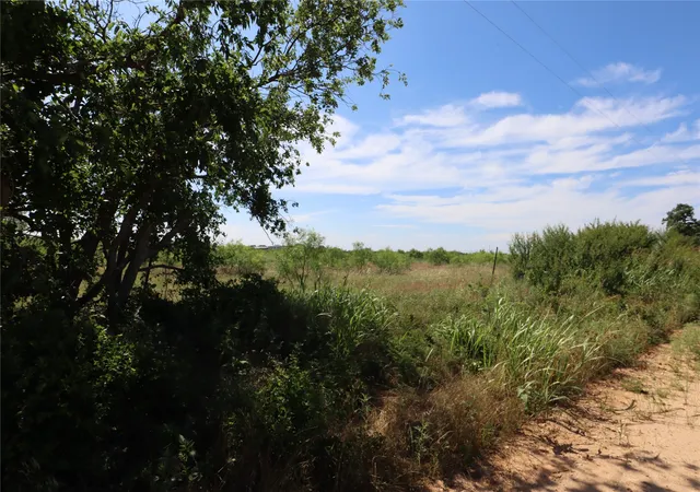 Homes for sale in Rising Star, TX | 807 County Road 215, Rising Star, TX 76471 | MLS# 21286389