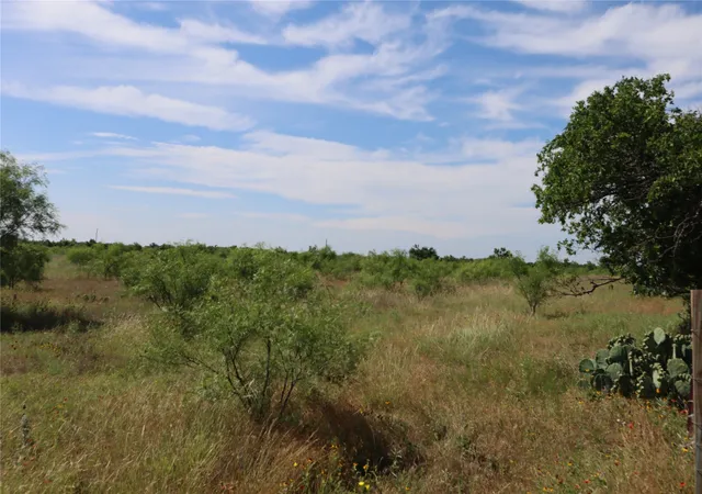 Homes for sale in Rising Star, TX | 807 County Road 215, Rising Star, TX 76471 | MLS# 21286389