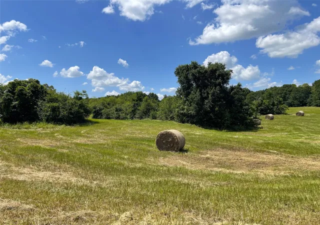 Photo 16 of Land for sale at Tbd Hwy 164, Donie, TX 75838 | MLS# 21286548 | Listing updated on 2026-07-09