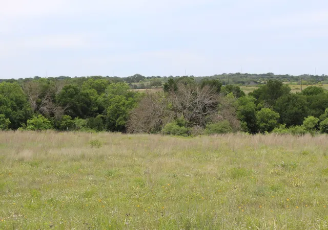 Photo 3 of Land for sale at Lot 68 Mason Court, Dublin, TX 76446 | MLS# 21284515 | Listing updated on 2026-07-22