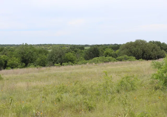 Homes for sale in Dublin, TX | Lot 68 Mason Court, Dublin, TX 76446 | MLS# 21284515