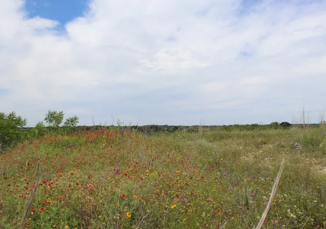 Homes for sale in Dublin, TX | Lot 68 Mason Court, Dublin, TX 76446 | MLS# 21284515