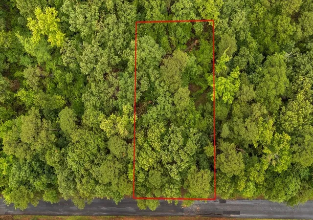 Homes for sale in Scroggins, TX | Lot 236 Canadian Dr, Scroggins, TX 75480 | MLS# 21286625