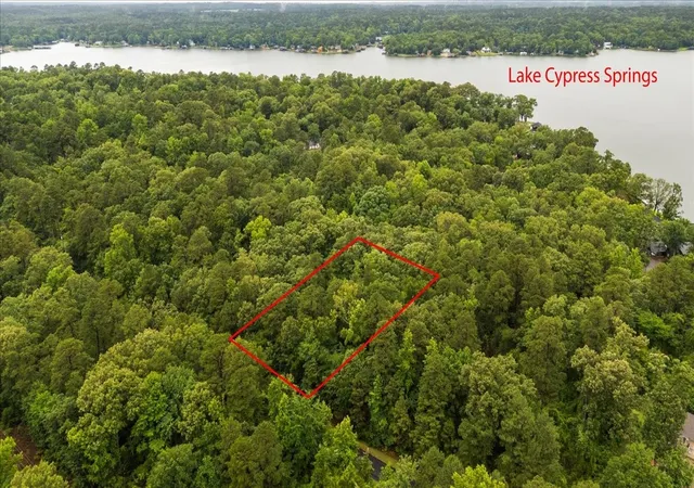 Homes for sale in Scroggins, TX | Lot 236 Canadian Dr, Scroggins, TX 75480 | MLS# 21286625