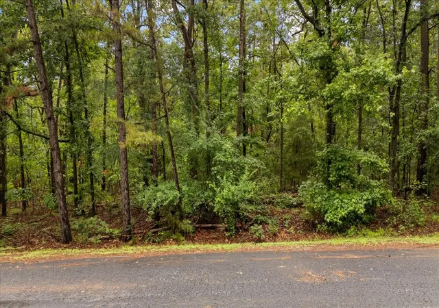 Homes for sale in Scroggins, TX | Lot 236 Canadian Dr, Scroggins, TX 75480 | MLS# 21286625