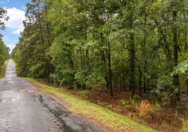 Photo 3 of Land for sale at Lot 236 Canadian Dr, Scroggins, TX 75480 | MLS# 21286625 | Listing updated on 2026-08-06