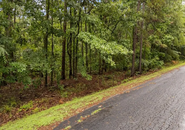 Photo 3 of Land for sale at Lot 236 Canadian Dr, Scroggins, TX 75480 | MLS# 21286625 | Listing updated on 2026-08-06