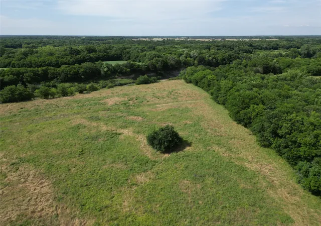 Homes for sale in Pecan Gap, TX | 57 Acres Cr 3505, Pecan Gap, TX 75469 | MLS# 21287446