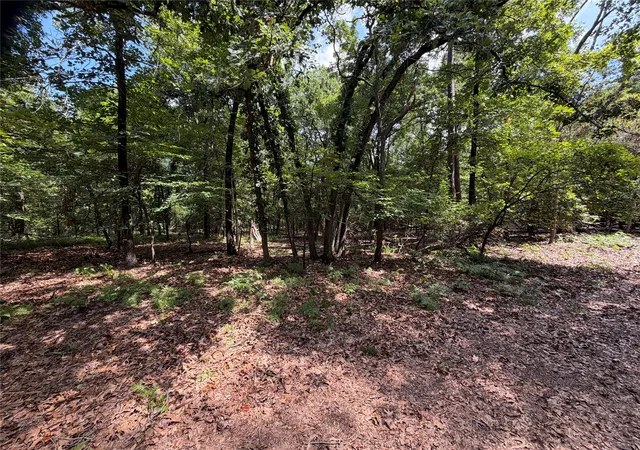 Homes for sale in Scroggins, TX | Lot 29 & 30 King Arthur Ct, Scroggins, TX 75480 | MLS# 21287590