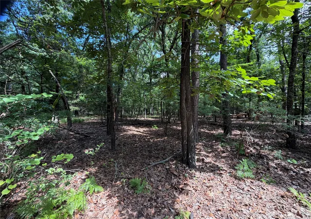 Homes for sale in Scroggins, TX | Lot 29 & 30 King Arthur Ct, Scroggins, TX 75480 | MLS# 21287590