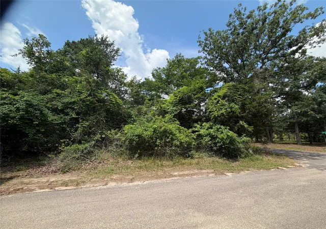 Homes for sale in Scroggins, TX | Tbd King Lake Rd, Scroggins, TX 75480 | MLS# 21287640