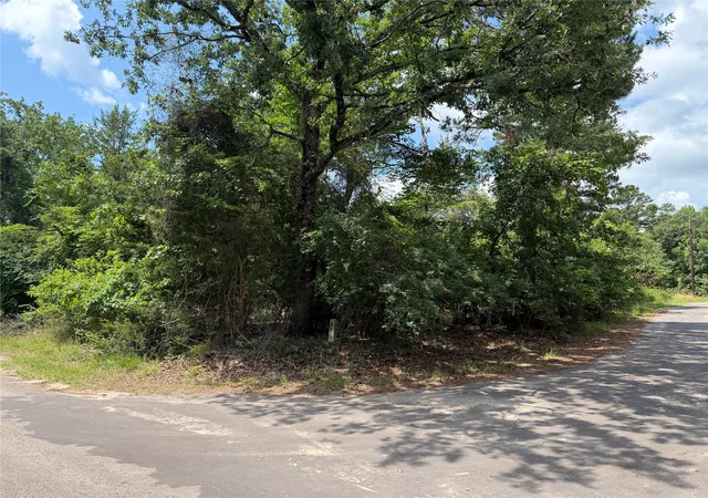 Homes for sale in Scroggins, TX | Tbd King Lake Rd, Scroggins, TX 75480 | MLS# 21287640