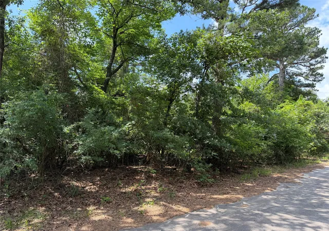 Homes for sale in Scroggins, TX | Tbd King Lake Rd, Scroggins, TX 75480 | MLS# 21287640