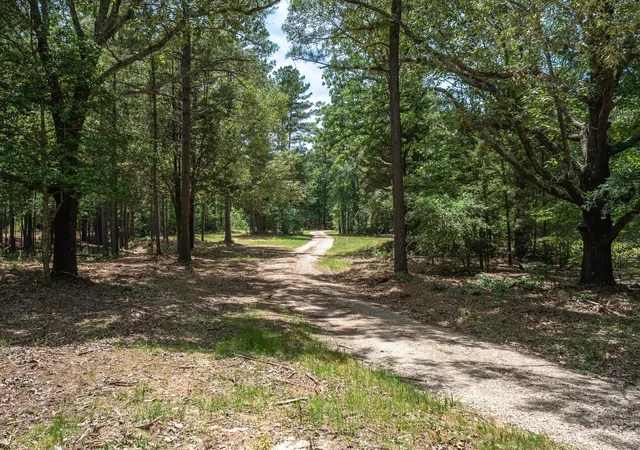 Photo 1 of Land for sale at Tbd Pvt Rd 8079 Rd, Ben Wheeler, TX 75754 | MLS# 21283197 | Listing updated on 2026-06-09