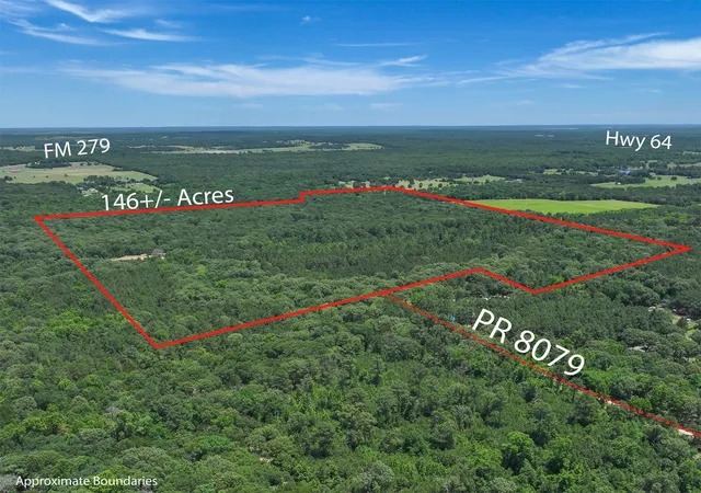 Photo 2 of Land for sale at Tbd Pvt Rd 8079 Rd, Ben Wheeler, TX 75754 | MLS# 21283197 | Listing updated on 2026-06-09