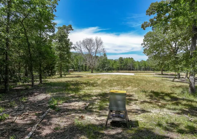 Photo 3 of Land for sale at Tbd Pvt Rd 8079 Rd, Ben Wheeler, TX 75754 | MLS# 21283197 | Listing updated on 2026-06-09