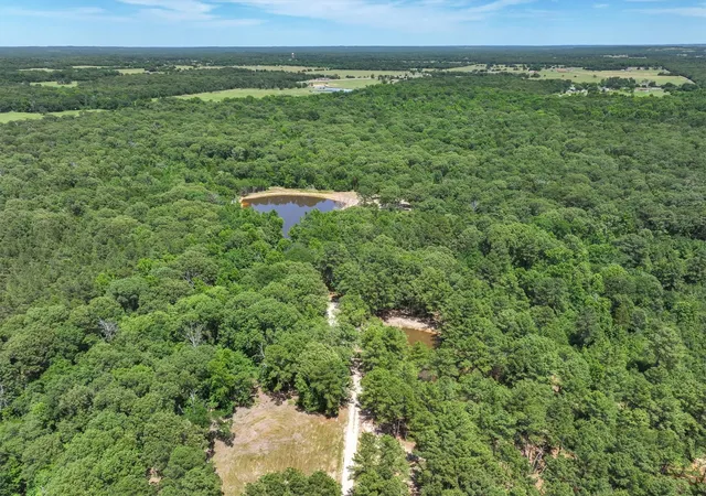 Photo 4 of Land for sale at Tbd Pvt Rd 8079 Rd, Ben Wheeler, TX 75754 | MLS# 21283197 | Listing updated on 2026-06-09