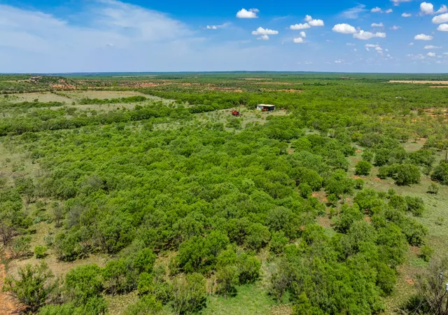 Homes for sale in Trent, TX | Tbd 179 County Rd 161, Trent, TX 79561 | MLS# 21287868