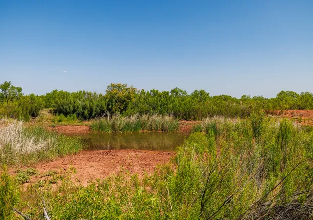 Homes for sale in Trent, TX | Tbd 179 County Rd 161, Trent, TX 79561 | MLS# 21287868