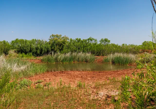 Homes for sale in Trent, TX | Tbd 179 County Rd 161, Trent, TX 79561 | MLS# 21287868