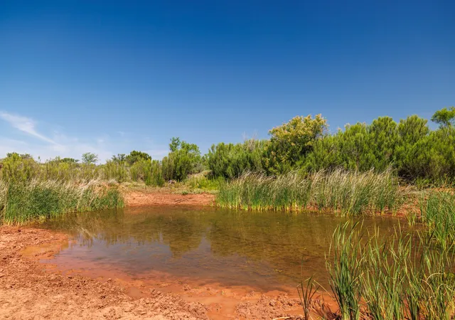 Homes for sale in Trent, TX | Tbd 179 County Rd 161, Trent, TX 79561 | MLS# 21287868