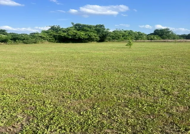 Photo 4 of Single family home for sale at 10755 Lakeside Dr, Kemp, TX 75143 | MLS# 21287474 | Listing updated on 2026-09-23
