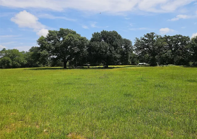Homes for sale in Groesbeck, TX | 13 Acres Fm 39 S, Groesbeck, TX 76642 | MLS# 21287966